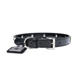 Bling Dog Collar - Star