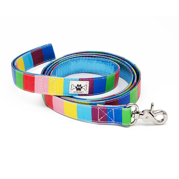 Multicolor Dog Leash