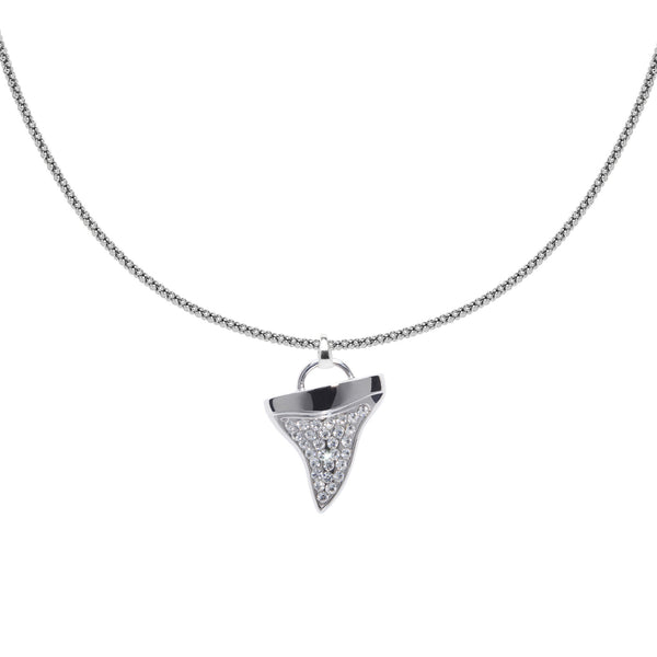Shark Tooth Charm Necklace