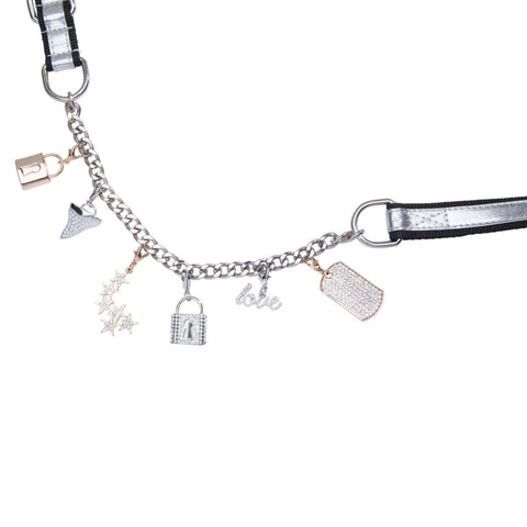Shark Tooth Pet Charm