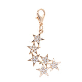 Shooting Stars Pet Charm