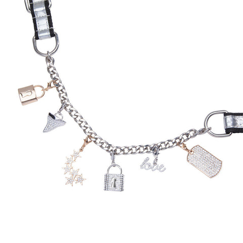 The Bling Lock Pet Charm