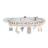 The Bling Lock Pet Charm