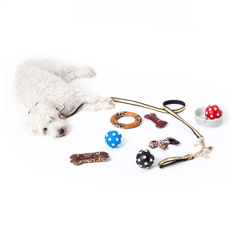 Small Leather Dog - Pet Toy
